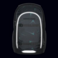 Coocazoo EVERY Arrow Drift Schulrucksack