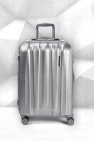 Polestream M Moonrock Silver brushed 69cm Trolley