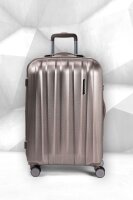 Polestream Rosesilver brushed M