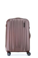 Polestream Rosesilver brushed S