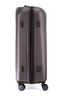 Polestream Rosesilver brushed S