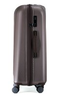 Polestream Rosesilver brushed S