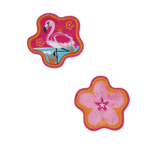 Scout Funny Snaps Florida Sunset S763800137500