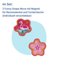 Scout Funny Snaps Florida Sunset S763800137500