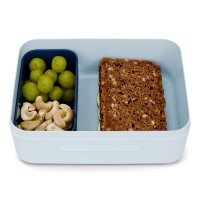 Ergobag Delfin Kunststoff Brotdose